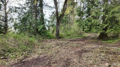 17584 Allen Road , Bow, WA 98232 - Photo 9