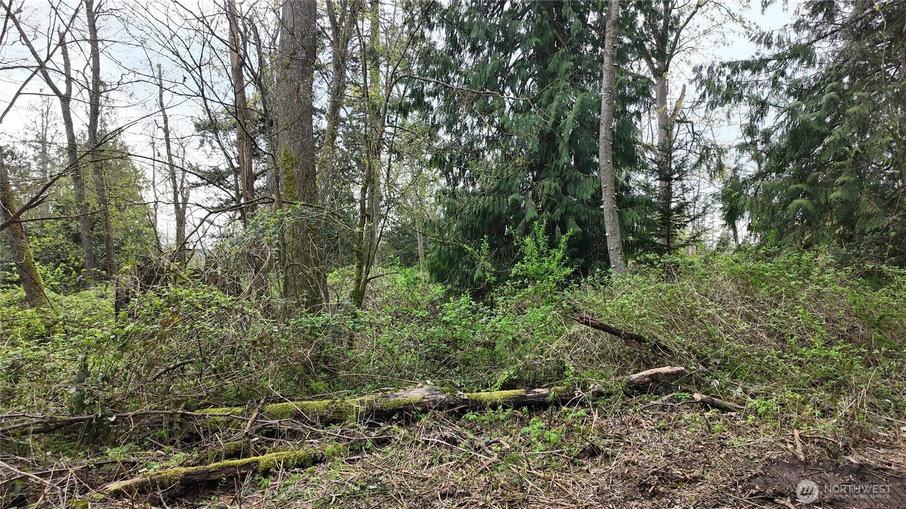17584 Allen Road , Bow, WA 98232
