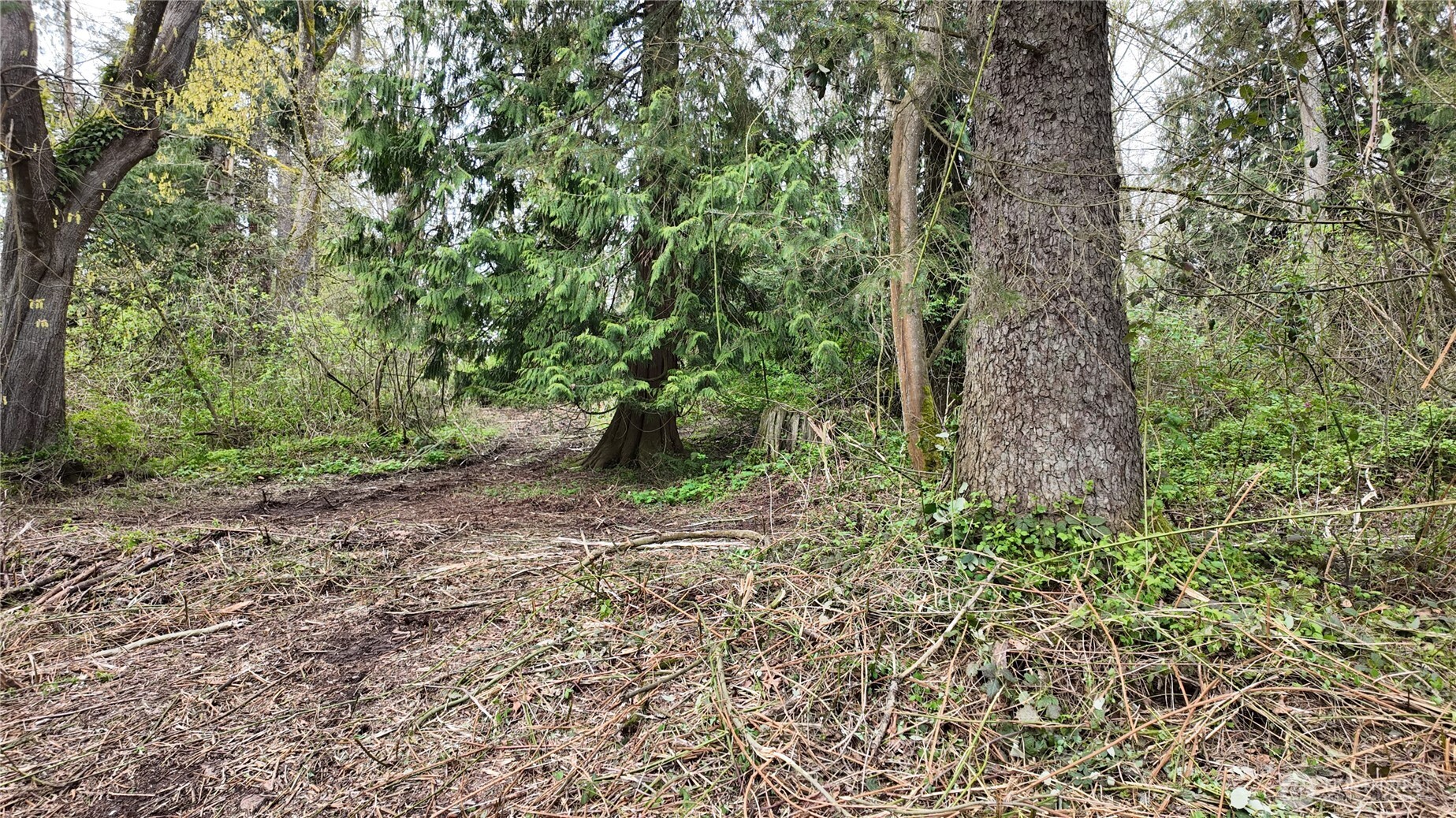 17584 Allen Road , Bow, WA 98232