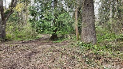 17584 Allen Road , Bow, WA 98232 - Photo 11
