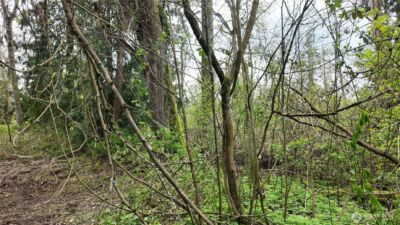 17584 Allen Road , Bow, WA 98232 - Photo 12
