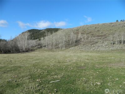 111 TBD Ellemeham Mountain Ridge Road , Tonasket, WA 98855