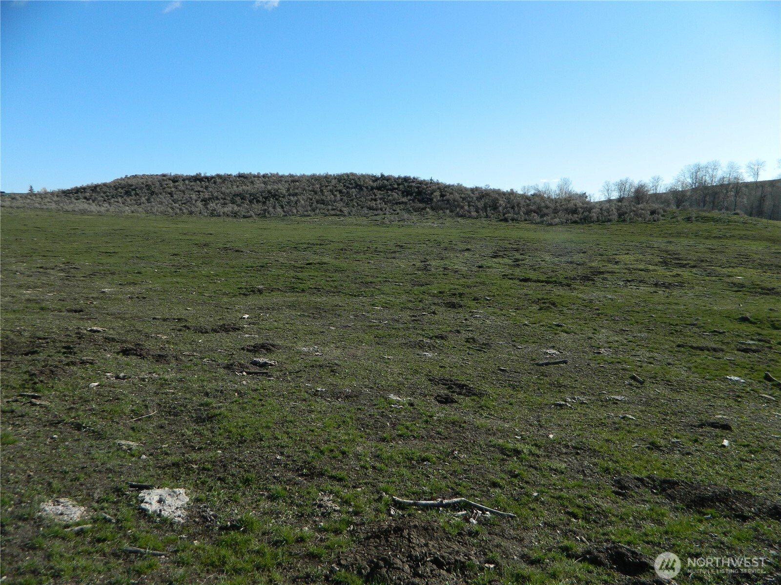 111 TBD Ellemeham Mountain Ridge Road , Tonasket, WA 98855