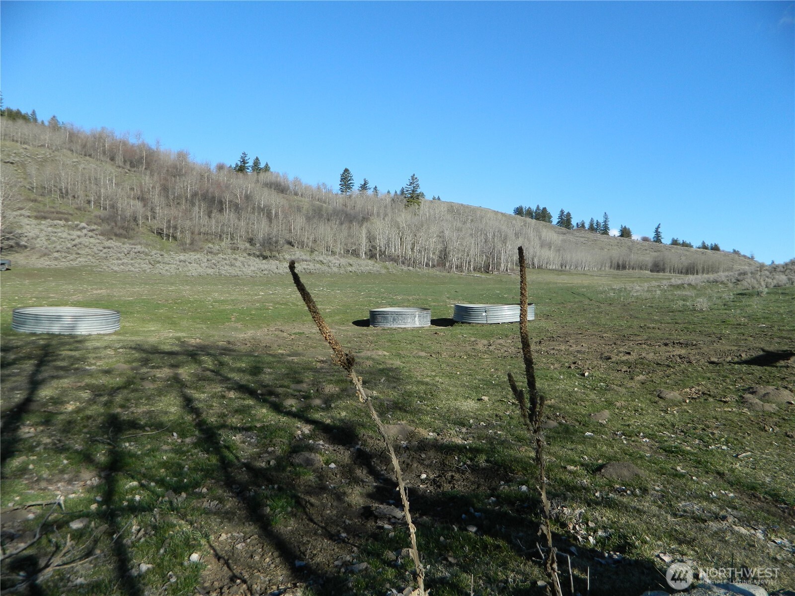 111 TBD Ellemeham Mountain Ridge Road , Tonasket, WA 98855