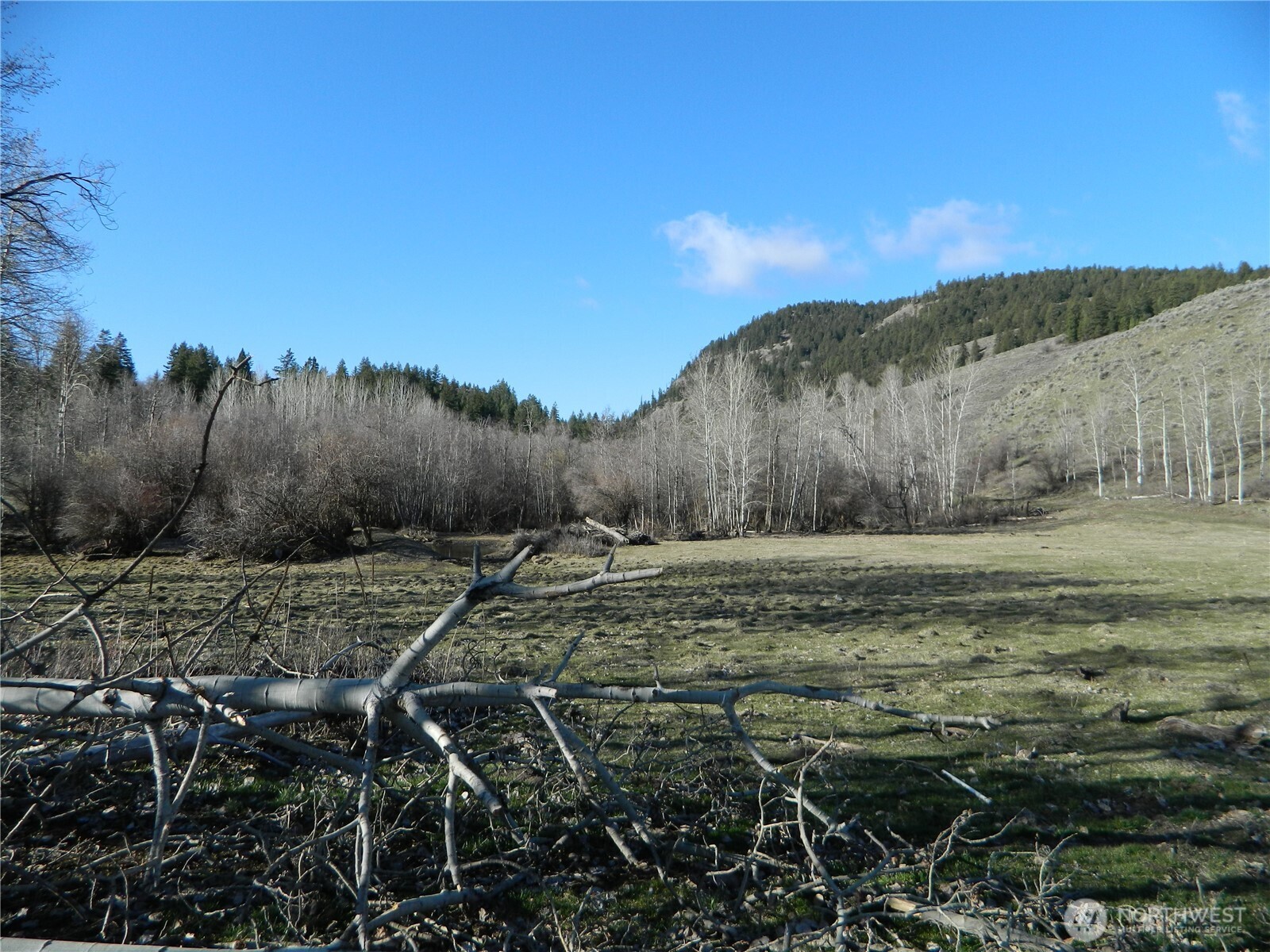 111 TBD Ellemeham Mountain Ridge Road , Tonasket, WA 98855