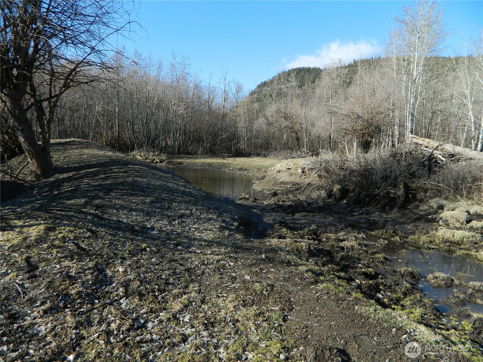 111 TBD Ellemeham Mountain Ridge Road , Tonasket, WA 98855