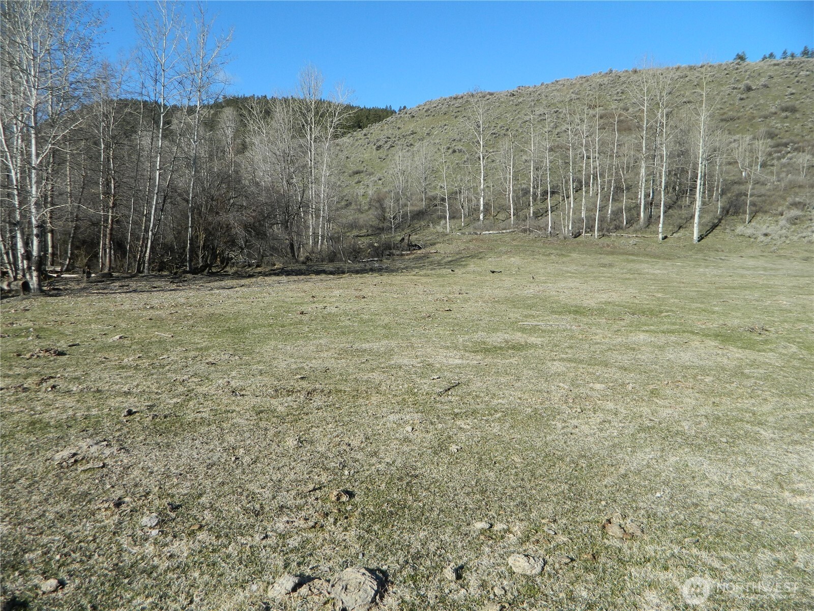 111 TBD Ellemeham Mountain Ridge Road , Tonasket, WA 98855