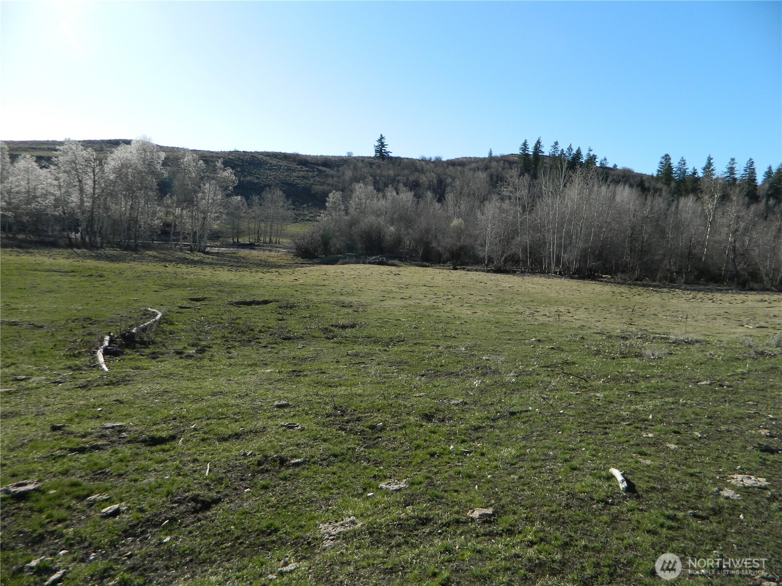 111 TBD Ellemeham Mountain Ridge Road , Tonasket, WA 98855