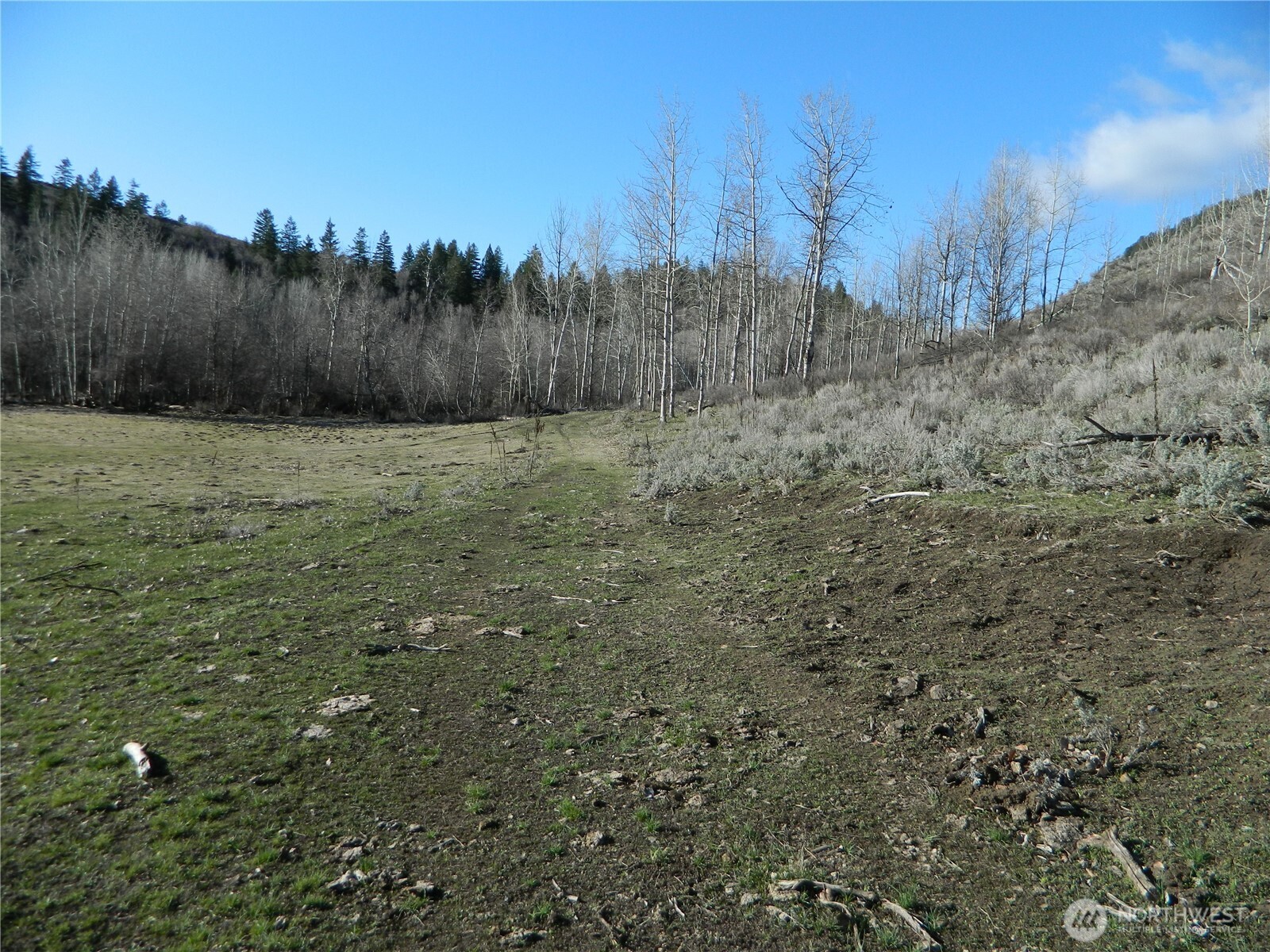 111 TBD Ellemeham Mountain Ridge Road , Tonasket, WA 98855