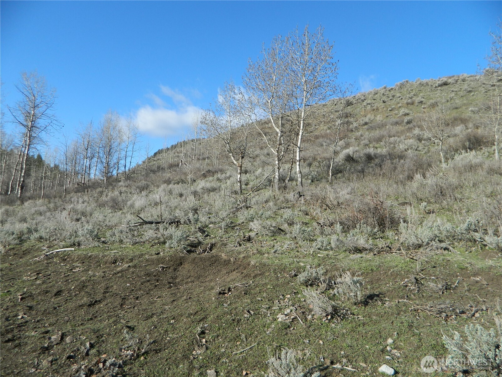 111 TBD Ellemeham Mountain Ridge Road , Tonasket, WA 98855