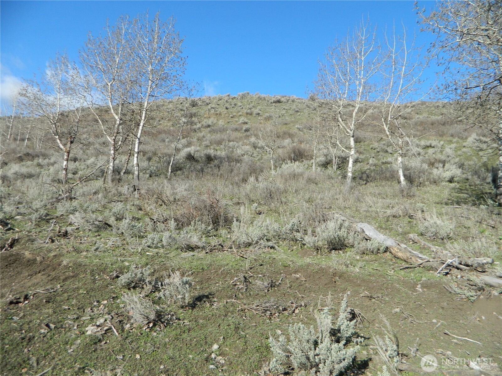 111 TBD Ellemeham Mountain Ridge Road , Tonasket, WA 98855