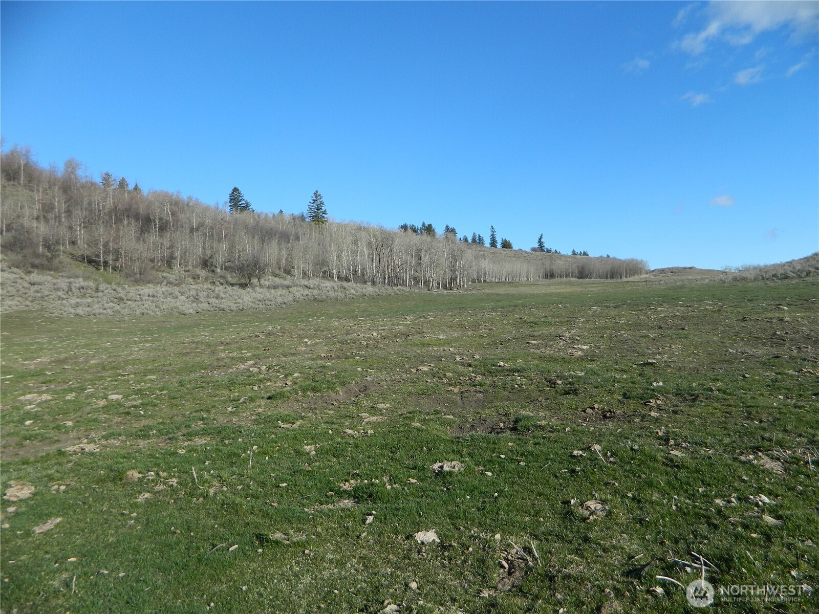 111 TBD Ellemeham Mountain Ridge Road , Tonasket, WA 98855