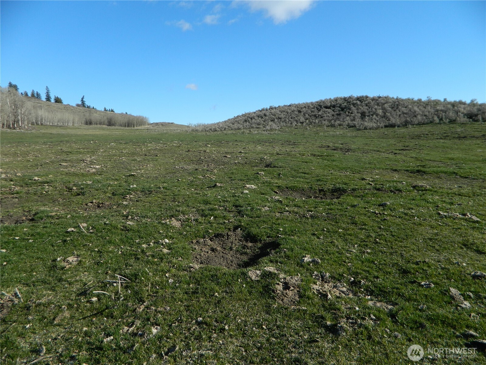 111 TBD Ellemeham Mountain Ridge Road , Tonasket, WA 98855
