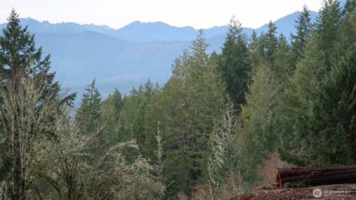 1111 Capstan Rock RD Road , Tahuya, WA 98588 - Photo 13