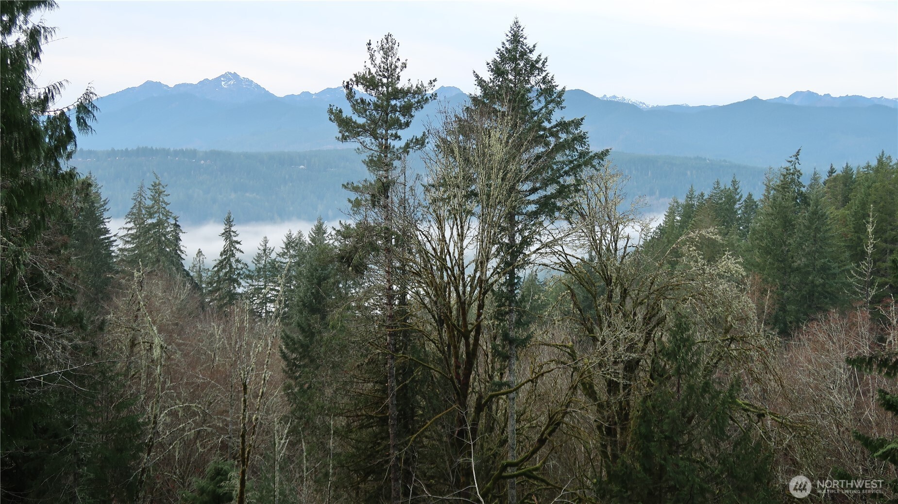 1111 Capstan Rock RD Road , Tahuya, WA 98588