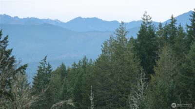 1111 Capstan Rock RD Road , Tahuya, WA 98588 - Photo 15