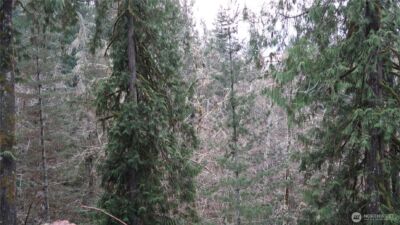 1111 Capstan Rock RD Road , Tahuya, WA 98588 - Photo 18