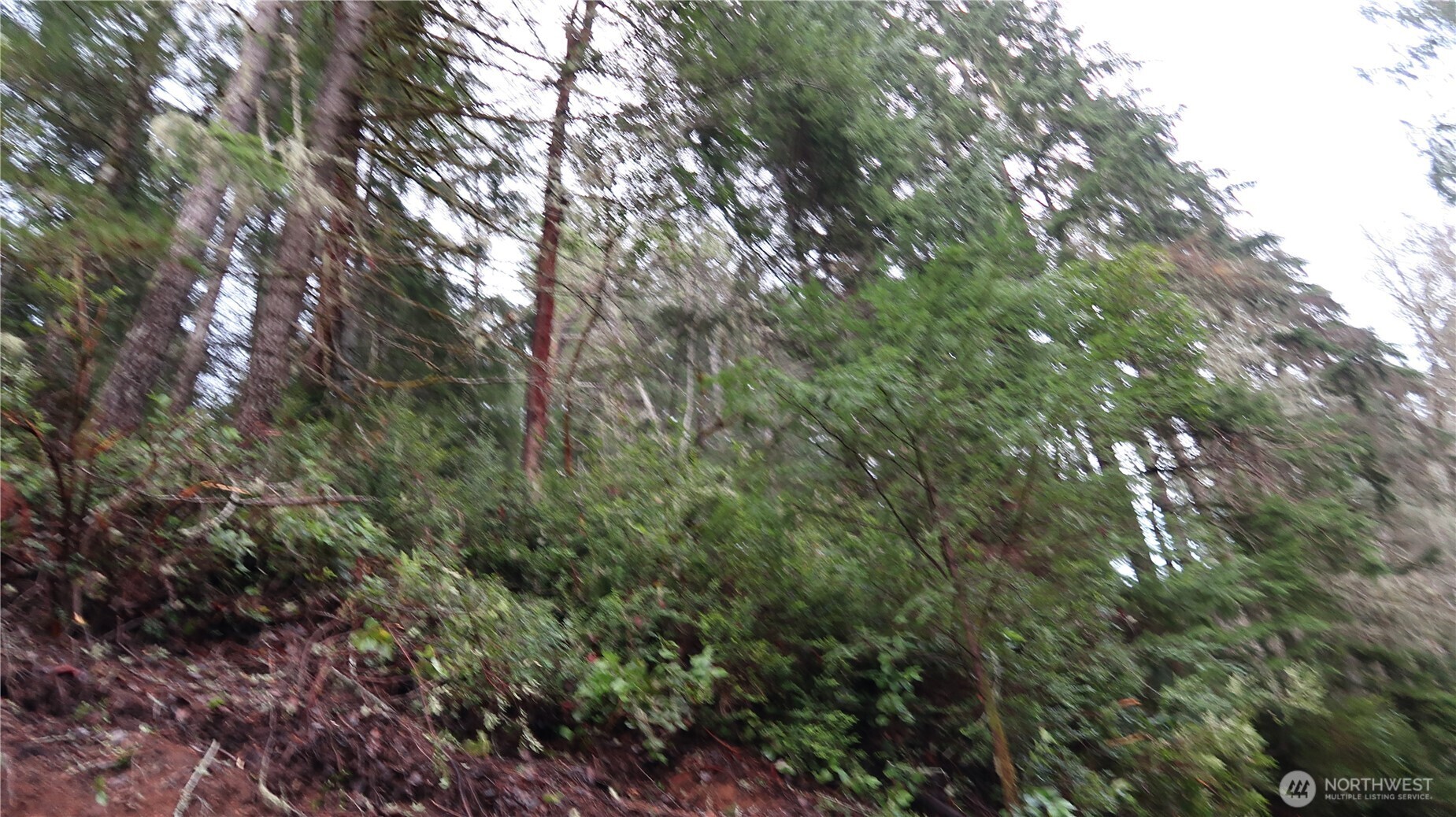 1111 Capstan Rock RD Road , Tahuya, WA 98588