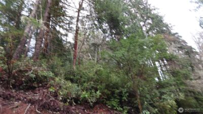 1111 Capstan Rock RD Road , Tahuya, WA 98588 - Photo 19