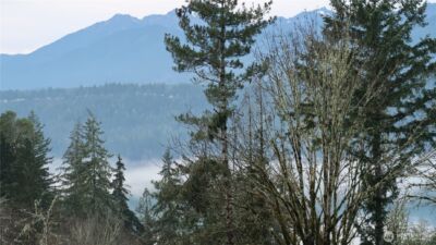 1111 Capstan Rock RD Road , Tahuya, WA 98588 - Photo 2