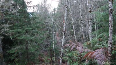 1111 Capstan Rock RD Road , Tahuya, WA 98588 - Photo 23