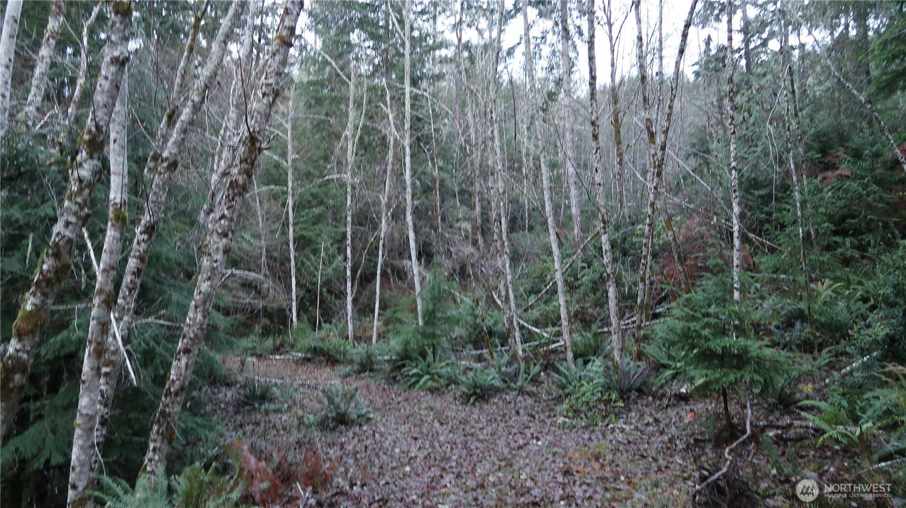1111 Capstan Rock RD Road , Tahuya, WA 98588