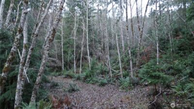 1111 Capstan Rock RD Road , Tahuya, WA 98588 - Photo 26