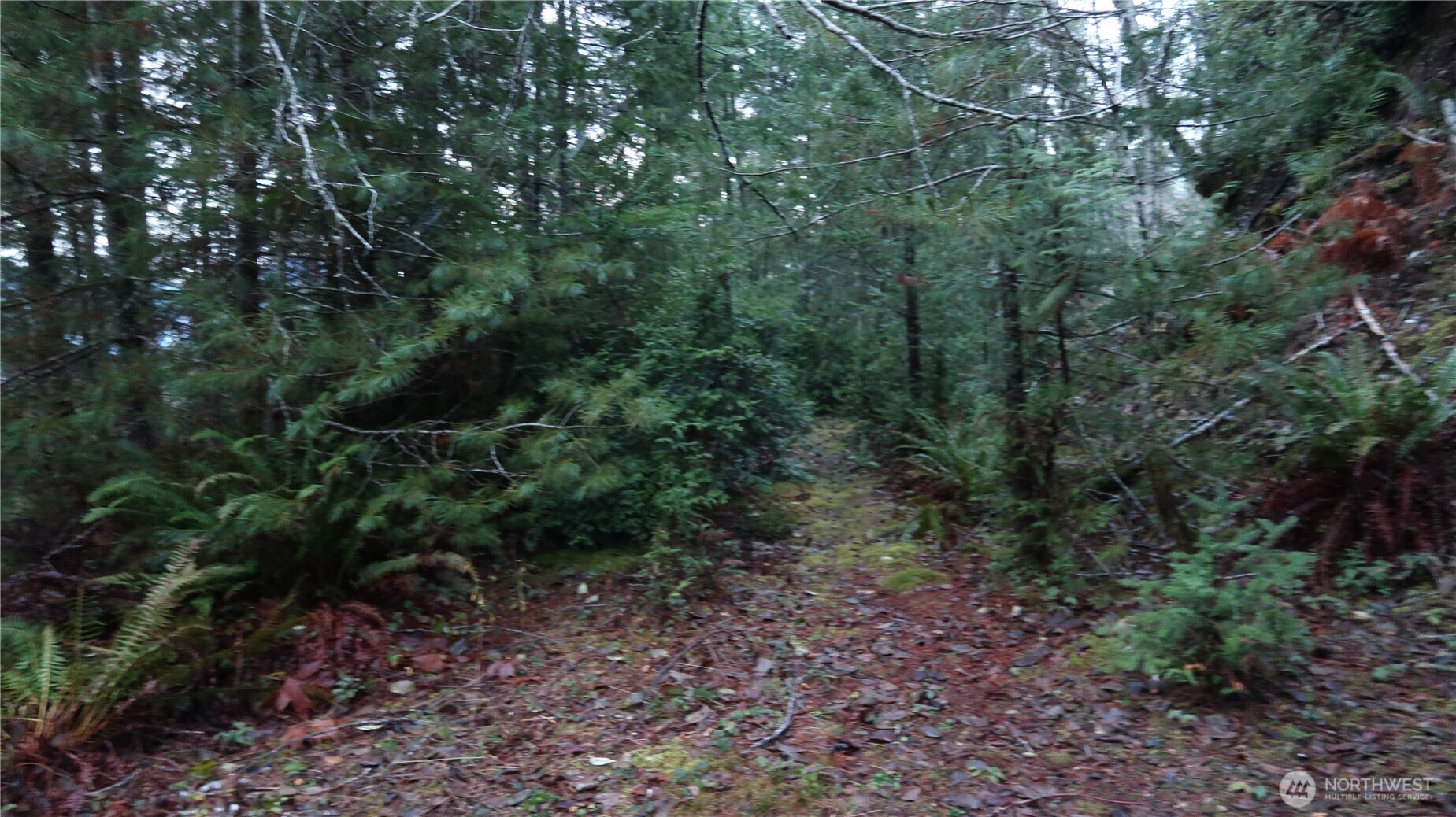 1111 Capstan Rock RD Road , Tahuya, WA 98588
