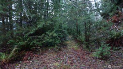 1111 Capstan Rock RD Road , Tahuya, WA 98588 - Photo 29