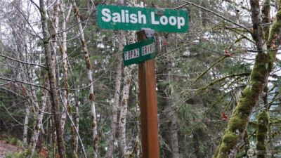 1111 Capstan Rock RD Road , Tahuya, WA 98588 - Photo 31