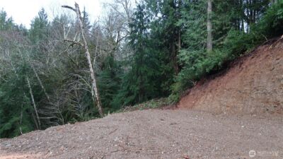 1111 Capstan Rock RD Road , Tahuya, WA 98588 - Photo 7