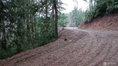 1111 Capstan Rock RD Road , Tahuya, WA 98588 - Photo 10