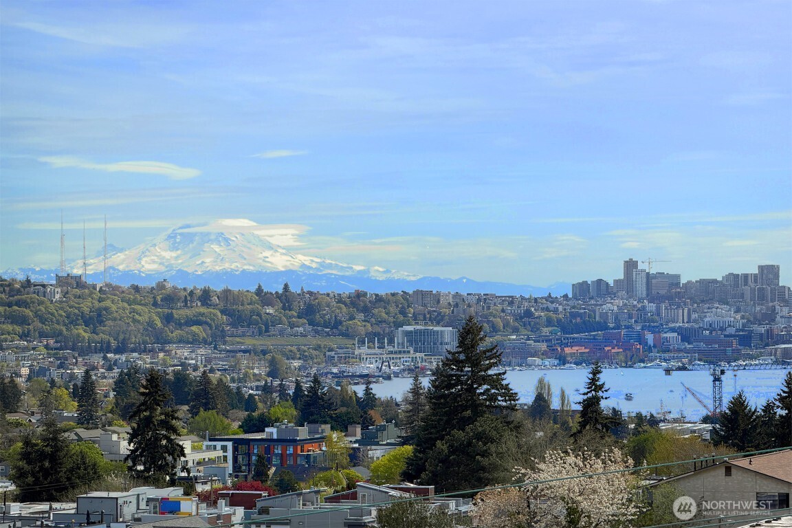 908 N 46th Street #E, Seattle, WA 98103
