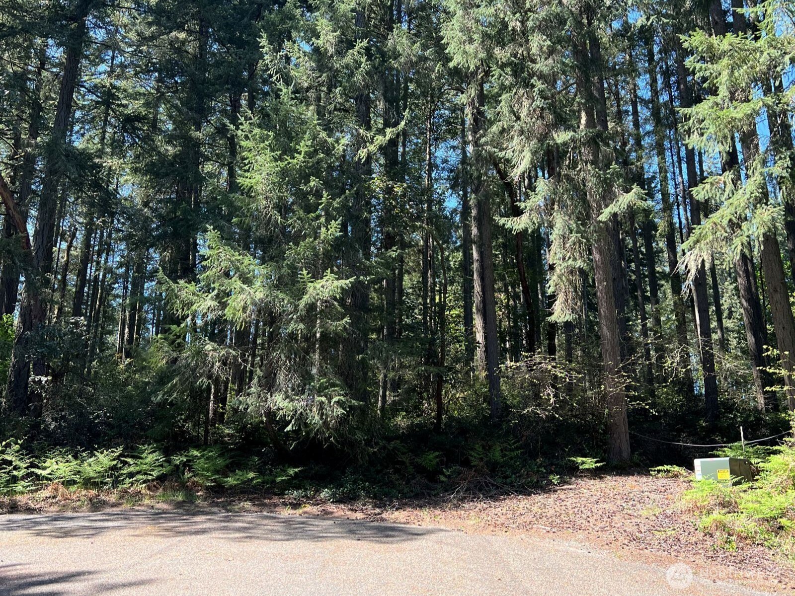 11410 103rd Street , Anderson Island, WA 98303