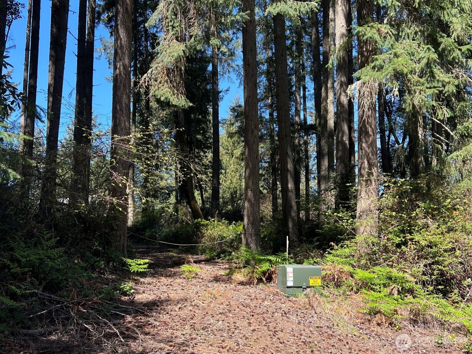 11410 103rd Street , Anderson Island, WA 98303