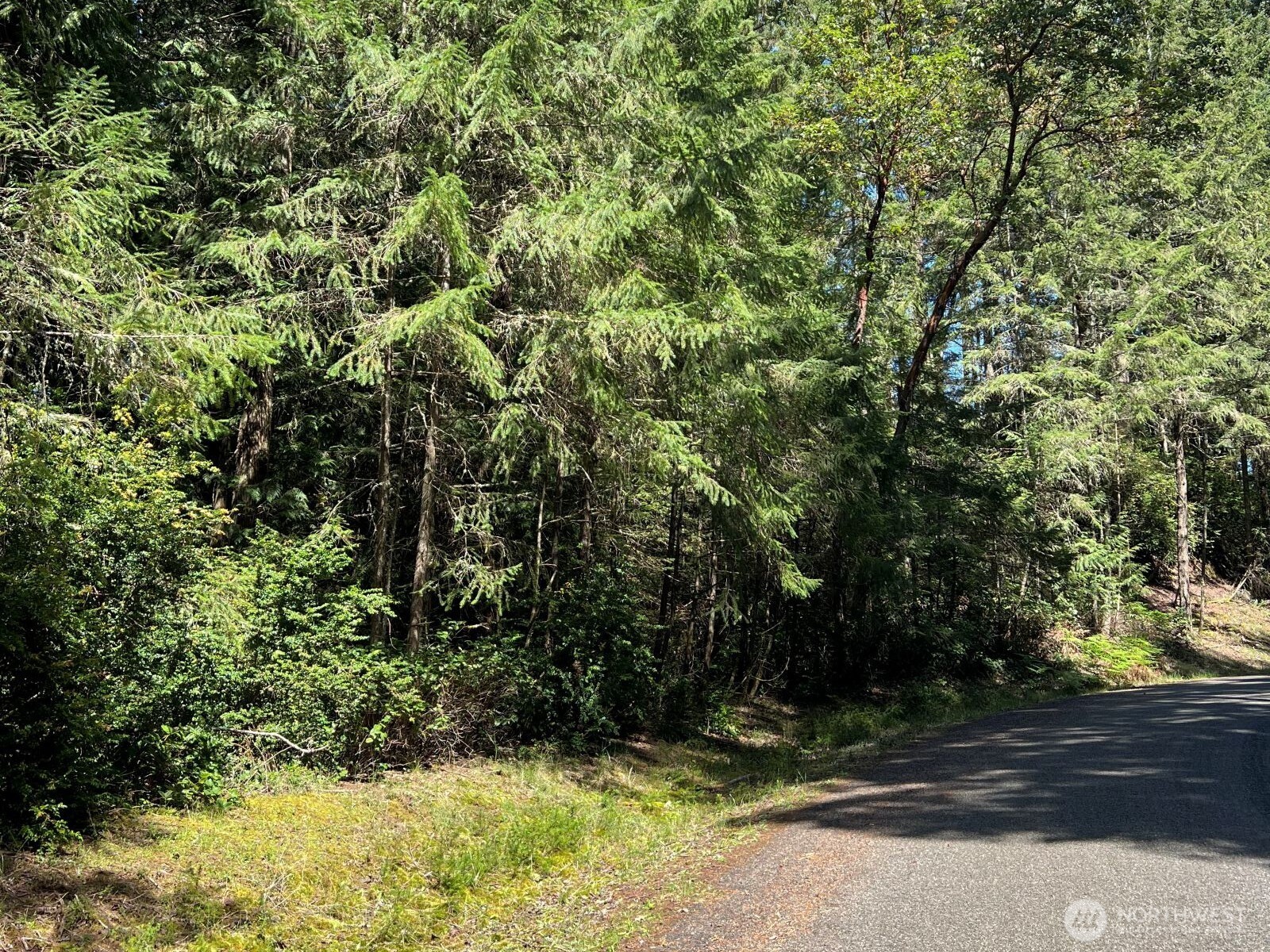 10919 Suncrest Drive , Anderson Island, WA 98303