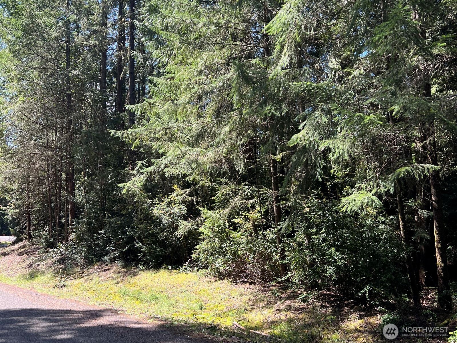 10919 Suncrest Drive , Anderson Island, WA 98303