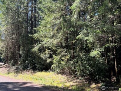 10919 Suncrest Drive , Anderson Island, WA 98303 - Photo 2