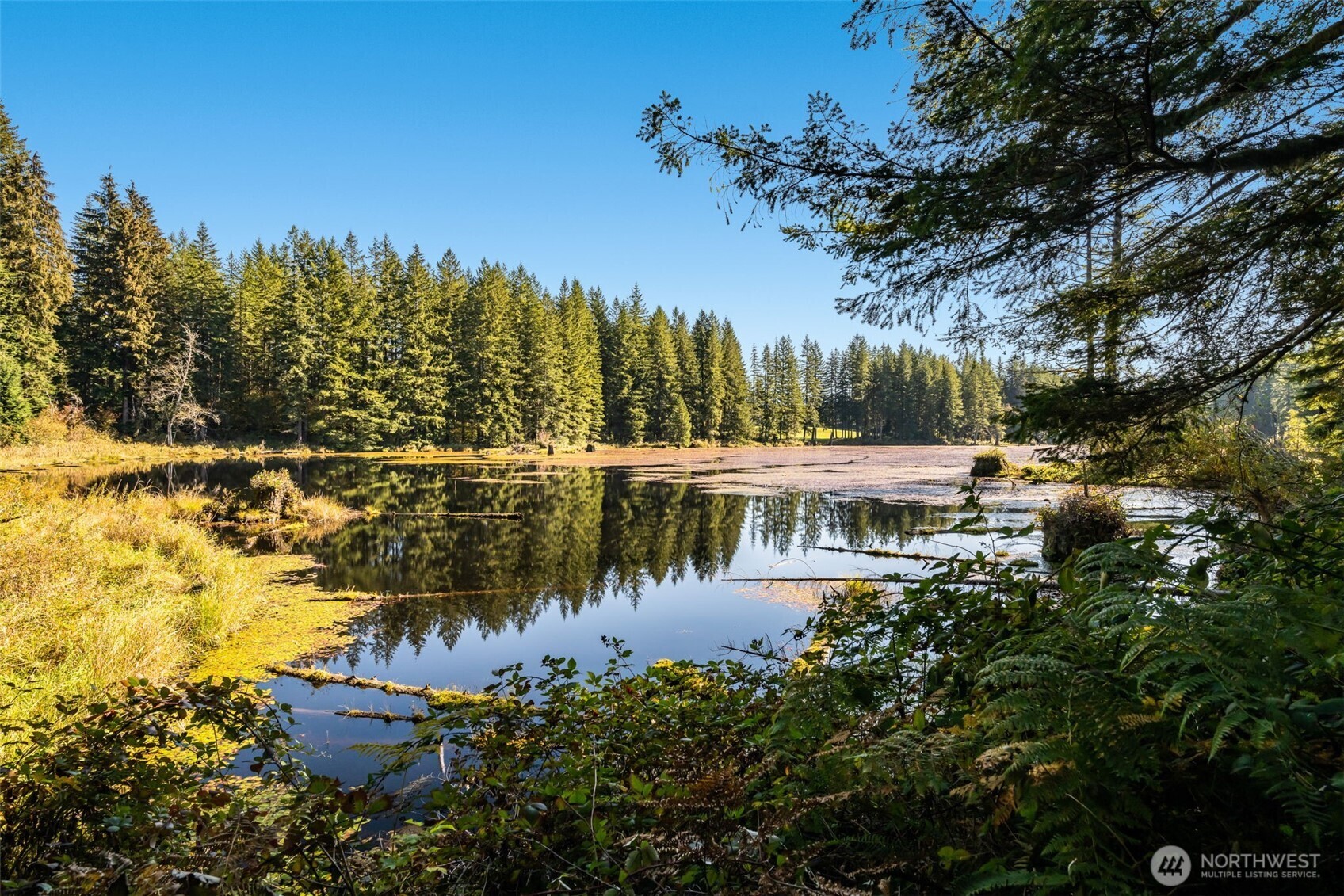 12907 Moss Creek Lane NE, Carnation, WA 98014