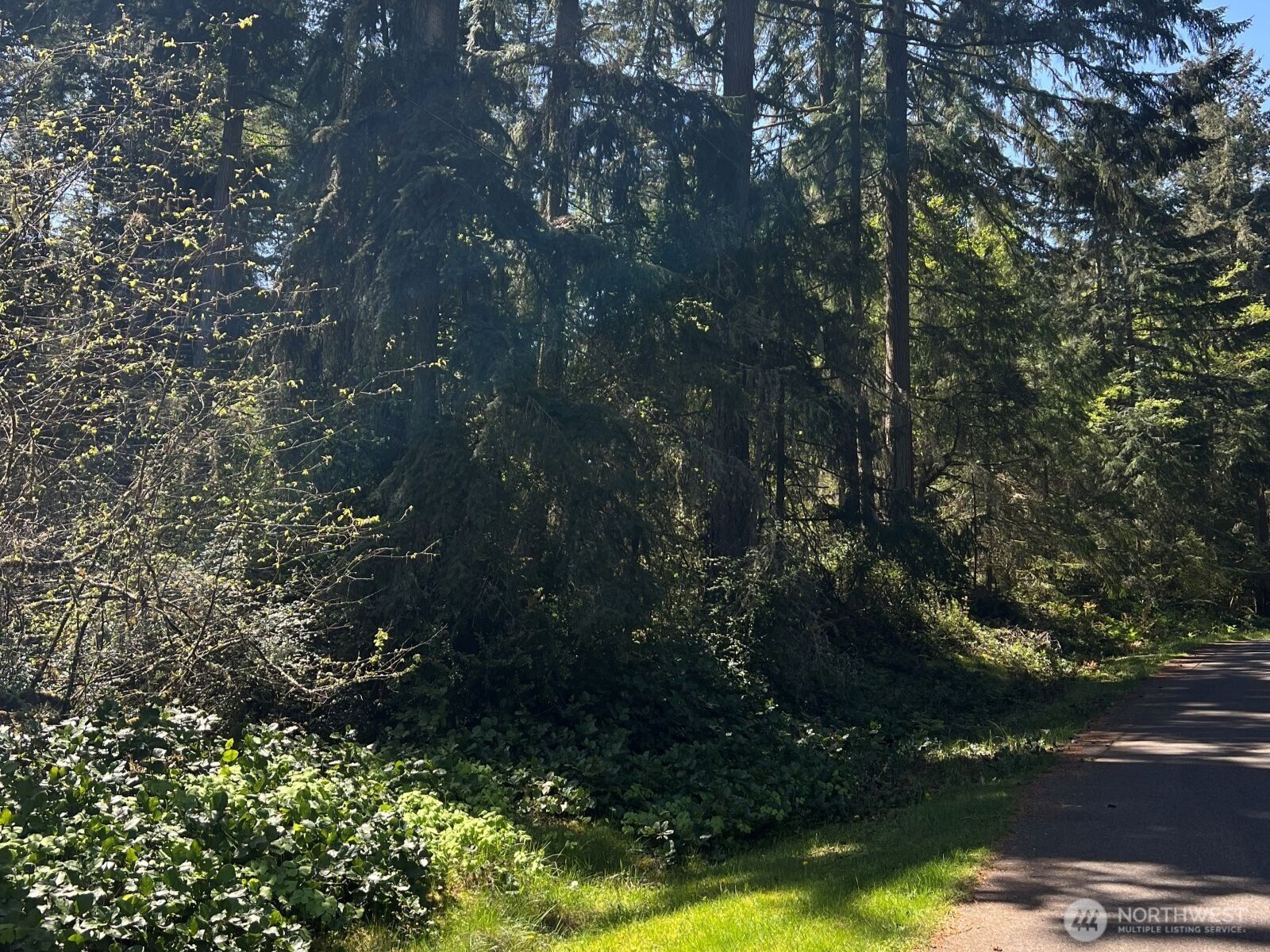 10404 Suncrest Drive , Anderson Island, WA 98303
