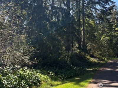 10404 Suncrest Drive , Anderson Island, WA 98303 - Photo 1