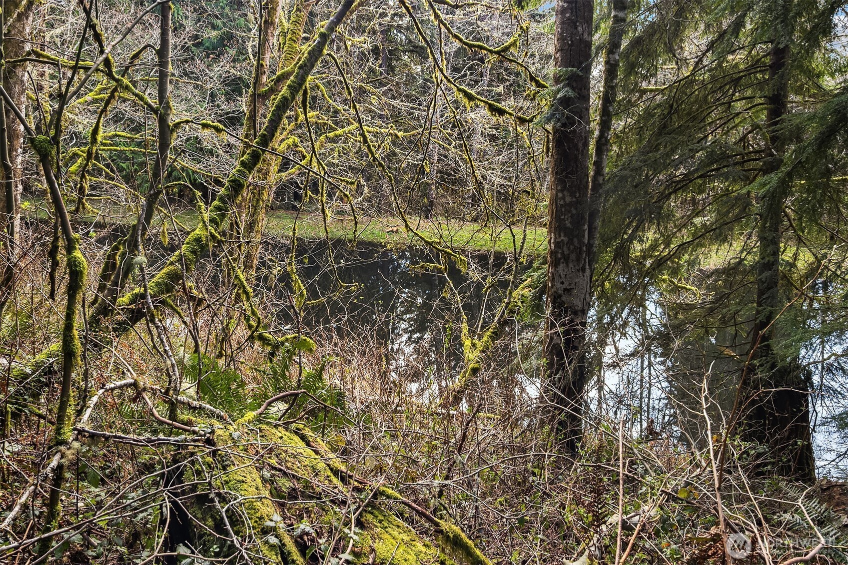 23904 E Lake Kayak Drive , Monroe, WA 98272