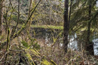 23904 E Lake Kayak Drive , Monroe, WA 98272 - Photo 23