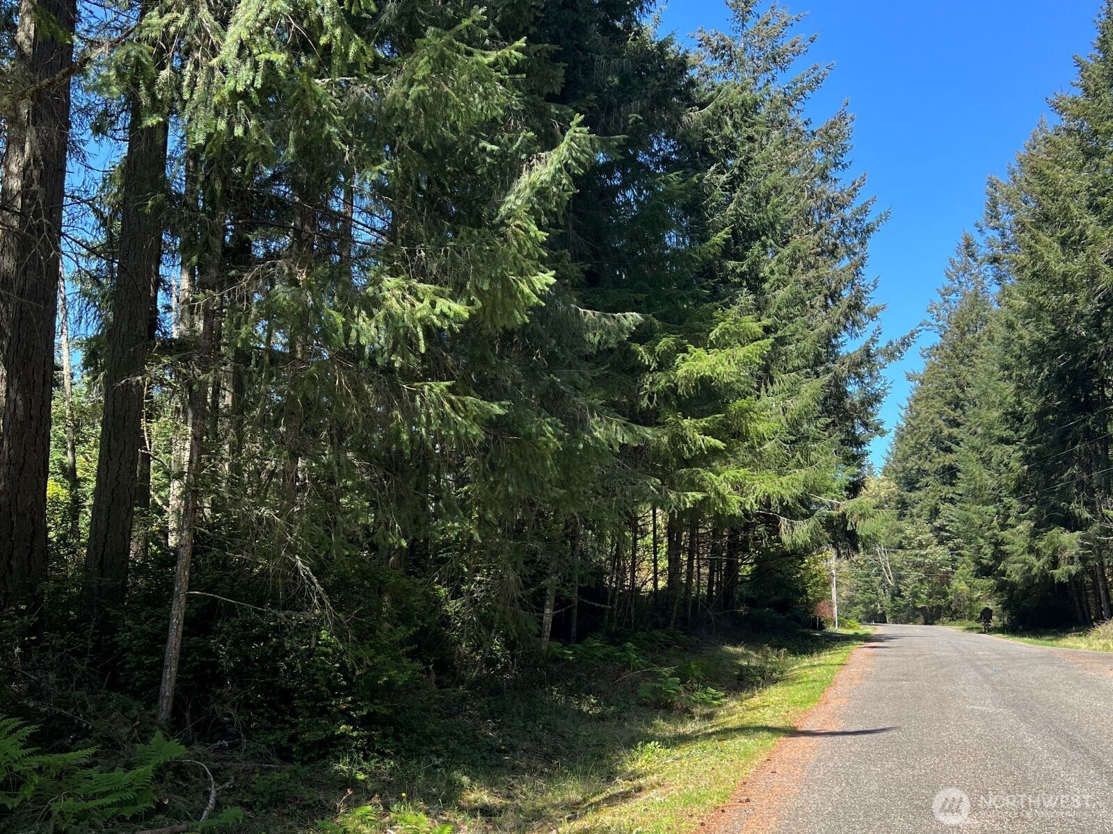 10312 Paine Road , Anderson Island, WA 98303