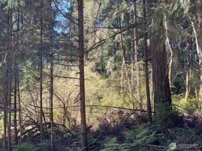 10312 Paine Road , Anderson Island, WA 98303 - Photo 2
