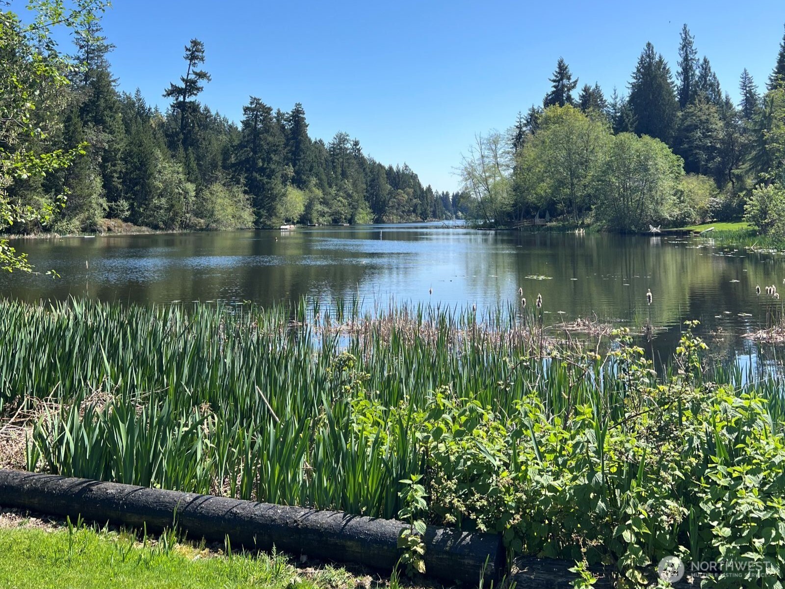 10312 Paine Road , Anderson Island, WA 98303