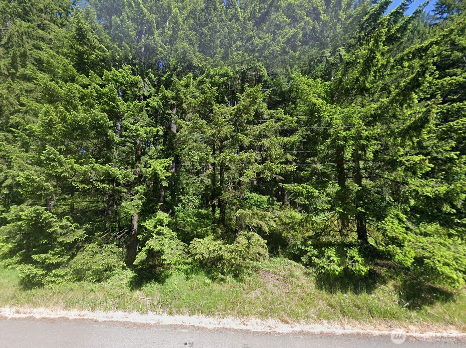 1125 Turkey Road NW, Olympia, WA 98502