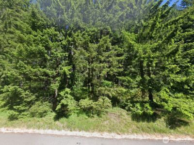 1125 Turkey Road NW, Olympia, WA 98502