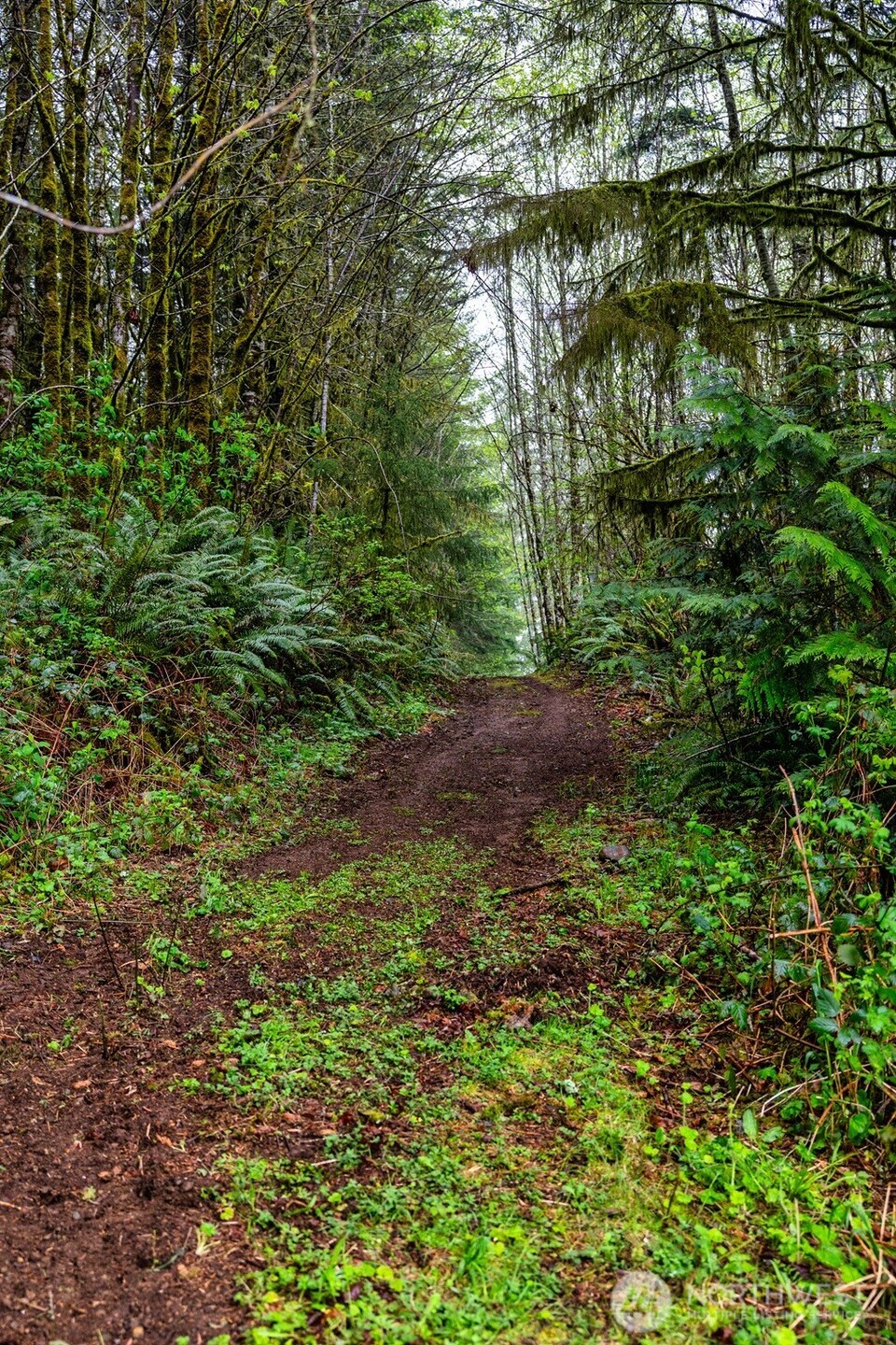 30 Belle Lane , McCleary, WA 98557