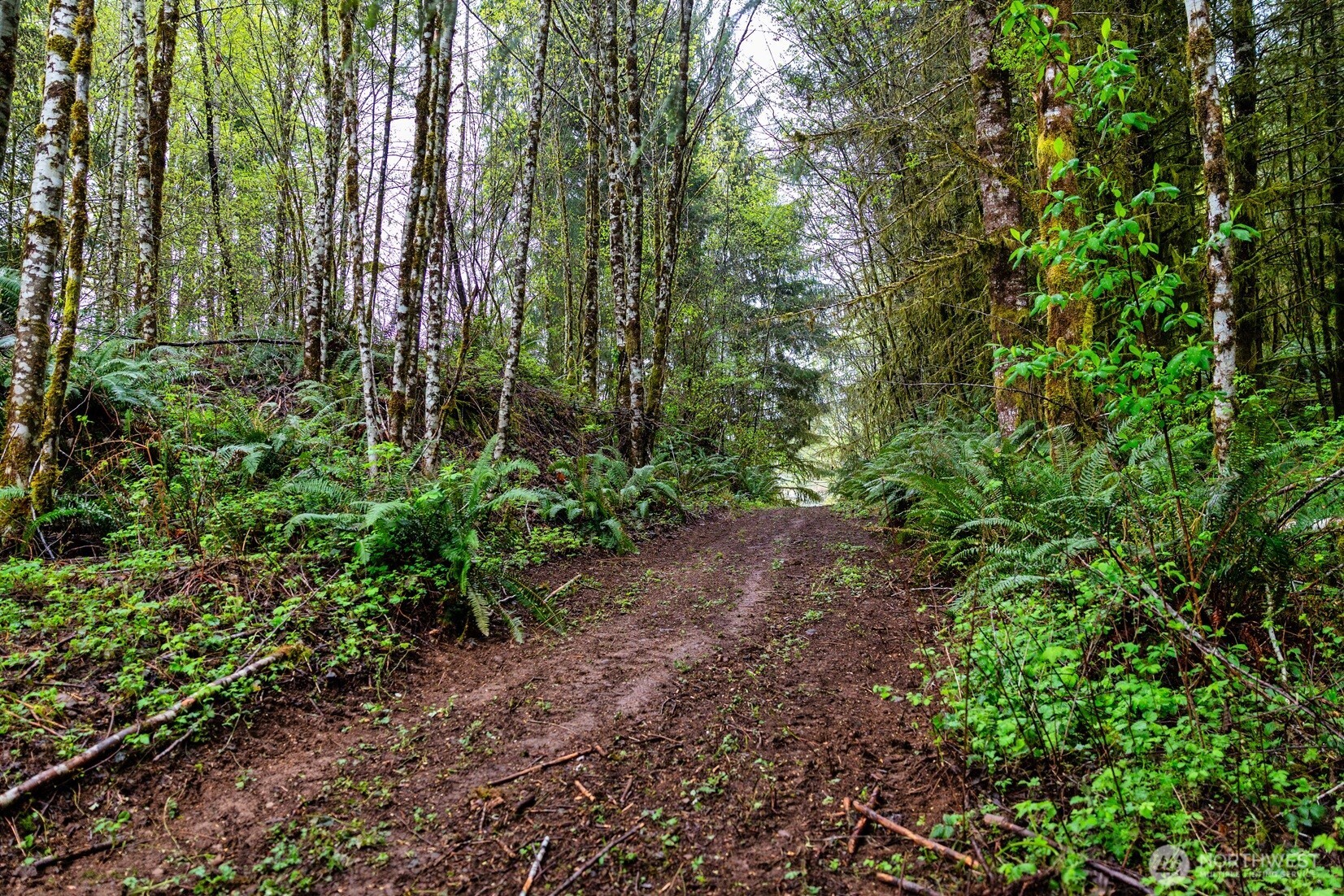 30 Belle Lane , McCleary, WA 98557